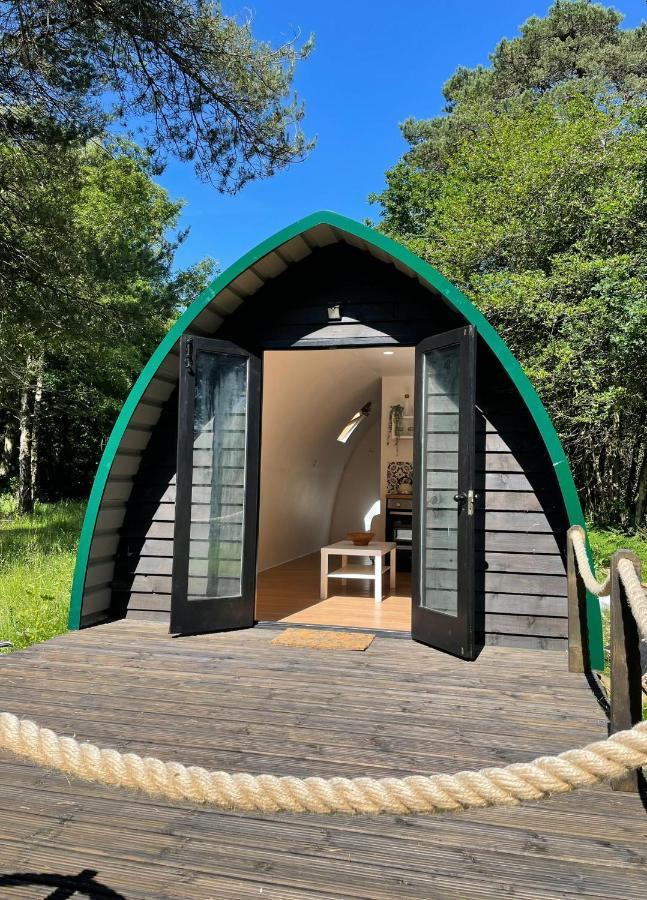 Nightjar Cabin At Cloudshill Glade แวร์แรม ภายนอก รูปภาพ