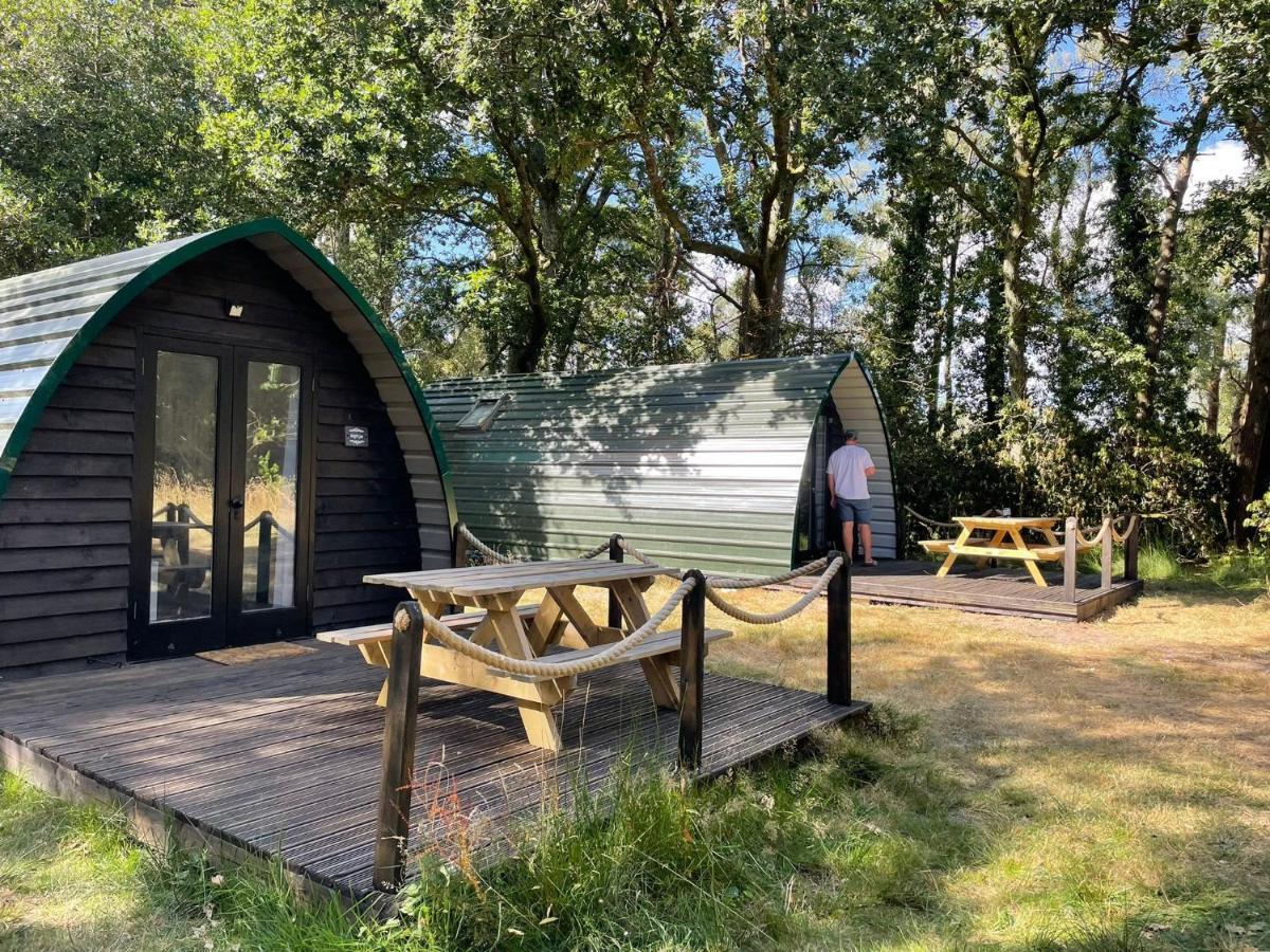 Nightjar Cabin At Cloudshill Glade แวร์แรม ภายนอก รูปภาพ