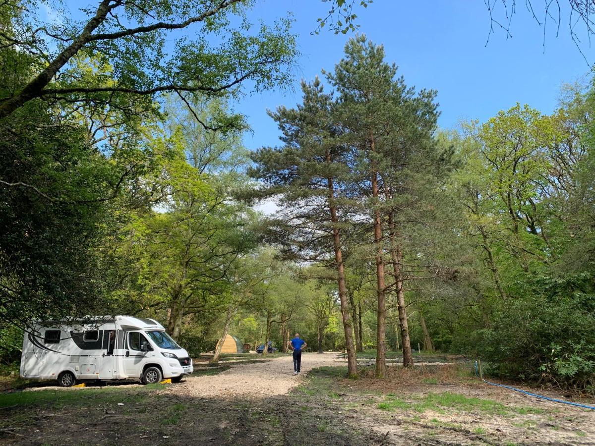 Nightjar Cabin At Cloudshill Glade แวร์แรม ภายนอก รูปภาพ